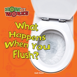 What Happens When You Flush? 